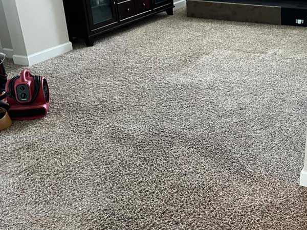 carpet-cleaner-near-me