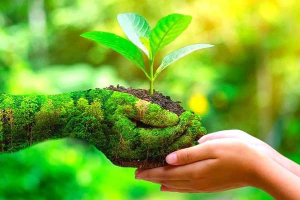 eco-friendly-odor-removal