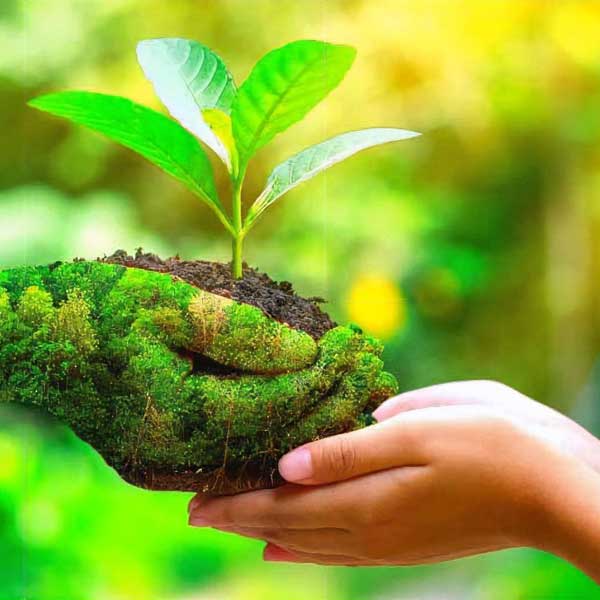 eco-friendly-cleaner-near-me