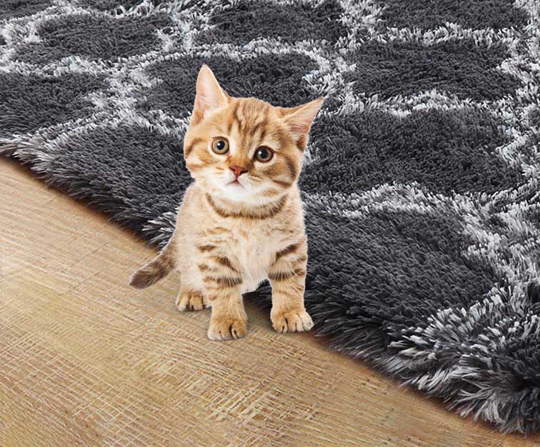 pet-friendly-rug-cleaner