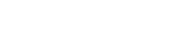 Team Us Carpet Cleaner