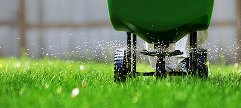 fertilization-and-weed-cont