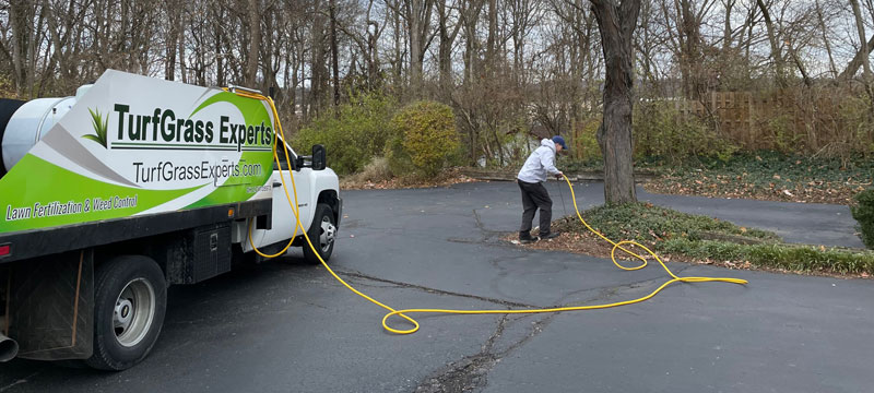 tree-and-shrub-treatments