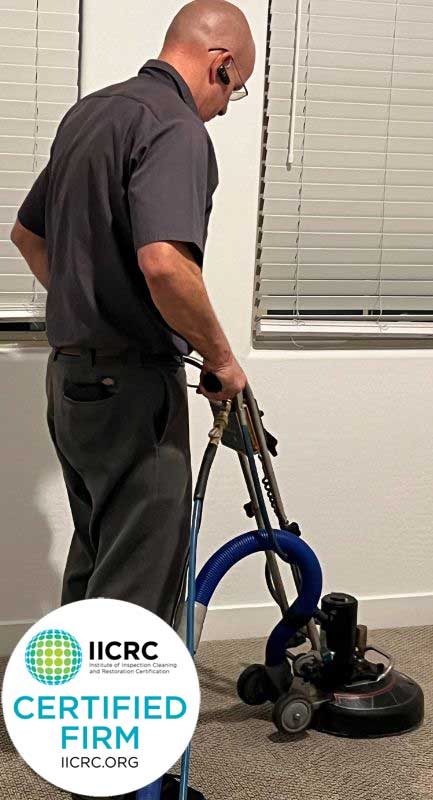 carpet-cleaner-tempe